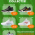 speciale korting van €10 op zaalschoenen